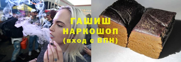 индика Осинники