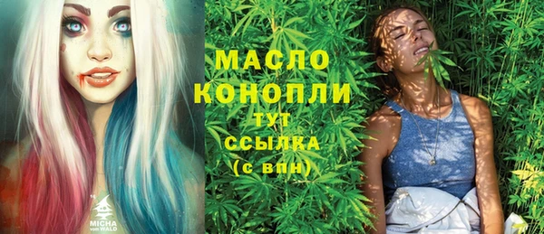 индика Осинники
