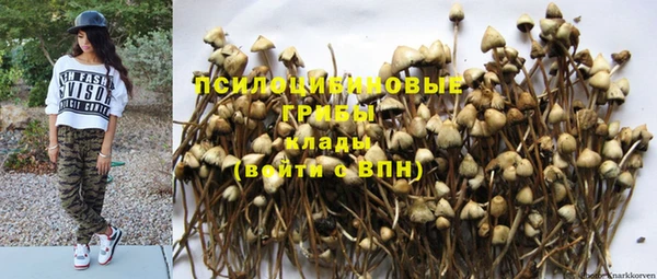 СК Осташков