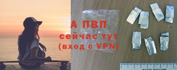 индика Осинники