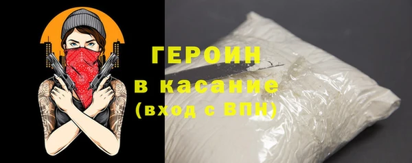индика Осинники