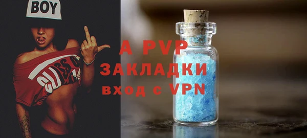 индика Осинники