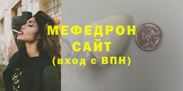 индика Осинники