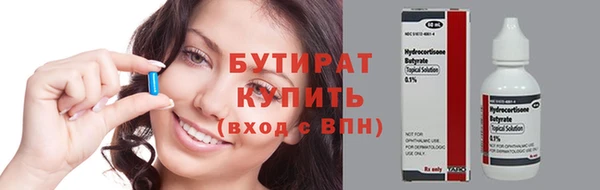 индика Осинники