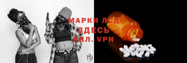 индика Осинники