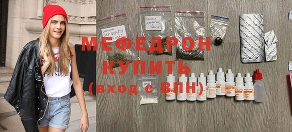 индика Осинники