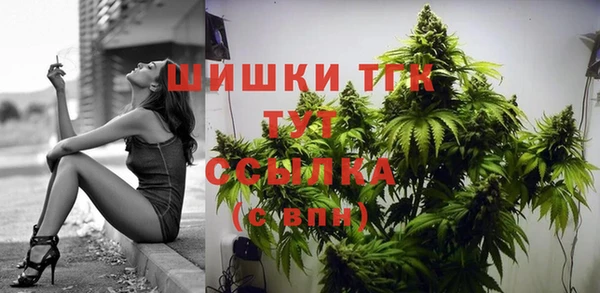 ALPHA PVP Переславль-Залесский
