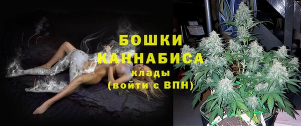сатива Пестово