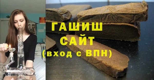 индика Осинники