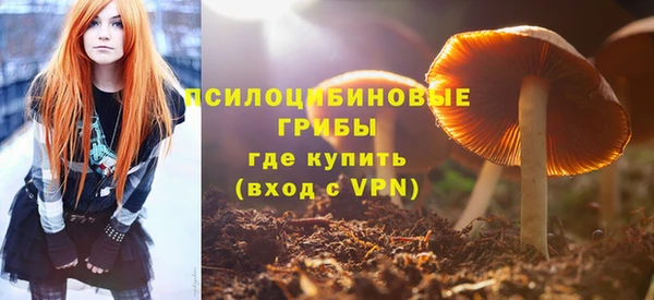 СК Осташков