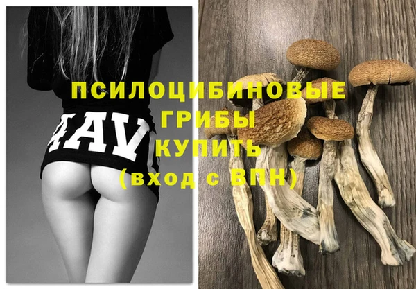 индика Осинники