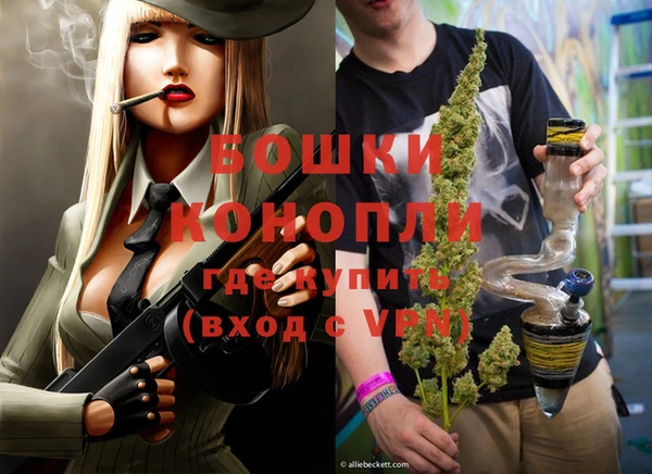 индика Осинники
