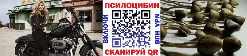 Псилоцибиновые грибы ЛСД Осташков